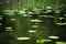 Flower and leaves of Yellow Water-lily Nuphar lutea. In the lake