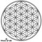 Flower of Life