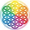 Flower Of Life Rainbow Colors