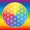 Flower Of Life Rainbow Gradient Color Wheel