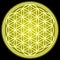 FLOWER OF LIFE sacred geometry