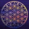 Flower of life. Sacred geometry. Lotus flower. Mandala ornament. Esoteric or spiritual symbol. Buddhism chakra. Geomtrical figure,