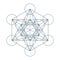 Flower of Life. Sacred Geometry. Symbol of Harmony and Balance. Vector