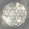 Flower of life. Sacred geometry, vector spiritual symbol.