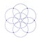 Flower of life scientific tattoo sketch with mystic interlocking circles ancient symbol.