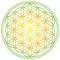 Flower of Life with spring energy colors