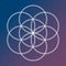 Flower of life symbol on a cosmic interlocking circles space sac