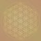 Flower of Life Symbol in Gold Colors, Cosmic Universe Energy Wheel