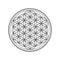 Flower of life symbol isolated on white background.