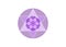 Flower of Life symbol Metatron Merkaba Sacred Geometry. Purple Logo round icon. Geometric mystic mandala of alchemy esoteric Seed