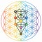 Flower of Life Symbol in Rainbow Colors, Cosmic Universe Energy Wheel, Tree of Sephiroth, Kabbalah