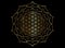 Flower of Life, Yantra Mandala in the golden lotus flower, Sacred Geometry, Metatron cube. Bright luxury symbol of harmony sign