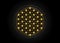 Flower of Life, Yantra Mandala, Sacred Geometry, glow Metatrons cube. Bright golden symbol of harmony and balance. Mystical gold