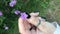 A flower of lilac twirl in the hand in the garden