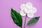 Flower made of white cotton round pads and real green vivid green leaves on pink background