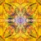 FLOWER MANDALA. BRIGHT COLORS PALLET. LINES IN BROWN. ABSTRACT YELLOW BACKGROUND