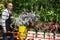 Flower market. Seller delivers potted flowers on pushcart