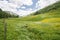 Flower meadow in the nature park Riedingtal Zederhaus, Austria