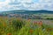 Flower meadow overlooking a village with a castle in the Rhoen