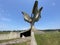 The Flower Memorial in Jasenovac or monument Stone Flower monument in the concentration camp memorials - Croatia