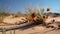 a flower in the middle of a sand dune in a desert