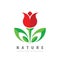Flower nature concept logo design. Abstract tulip flower  green leaves symbol. Health sign. Vector illustration