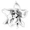 Flower of Odontoglossum Cerbantesii vintage illustration