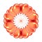 Flower of orange party balloons abstract. helium balloon circle