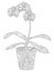 Flower orchid in a pot coloring raster for adults