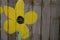 Flower painted on wooden fence