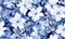 Flower pattern with blue flowers on background. Flora summer wallpaper. For banner, postcard, book illustration. Created with