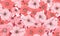 Flower pattern with pink flowers on background. Flora summer wallpaper. For banner, postcard, book illustration. Created with