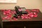 Flower petals decoration on table with telephone