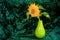 flower picture decorative sunflowers in a vase on a green background.