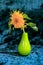 Flower picture sunflowers in a vase on a blue background