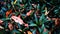 Flower plant leaf green tree red shrub produce garden branch gass nature jungle Wildflower petal food autumn