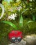 A flower from a plastic bottle. Ladybug made of stone. Decoration for the garden do it yourself. Reuse plastic. A handicraft of