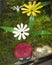 A flower from a plastic bottle. Ladybug made of stone. Decoration for the garden do it yourself. Reuse plastic. A handicraft of