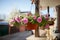 Flower pot dangling from the roof of the house.