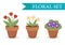 Flower pot with different flowers set, flat style. Flowerpot Collection on white background. Vector