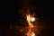 Flower pot Diwali firework tree sparks fire Diwali festival is celebrated in India most popular hindu festival celebrated with