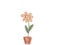 Flower in a pot drawing animation