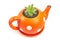 Flower pot in form of teapot with houseleek isolated