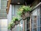 A flower pot with green plants at the entrance to the office. Steel decorative fence with rectangular hanging flowerbeds on the