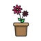 Flower in a pot icon illustration. Houseplant symbol