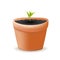 Flower Pot Isolated