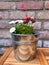 Flower pot made of zinc on a wooden table in front of a brick wall