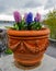 Flower pot with narcissus