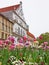 Flower pot with tulips and bellis, pedestrian area munich marienplatz, st michael church and famous dome
