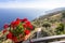 Flower pot on the viewpoint to the Amalfi coast, Italy